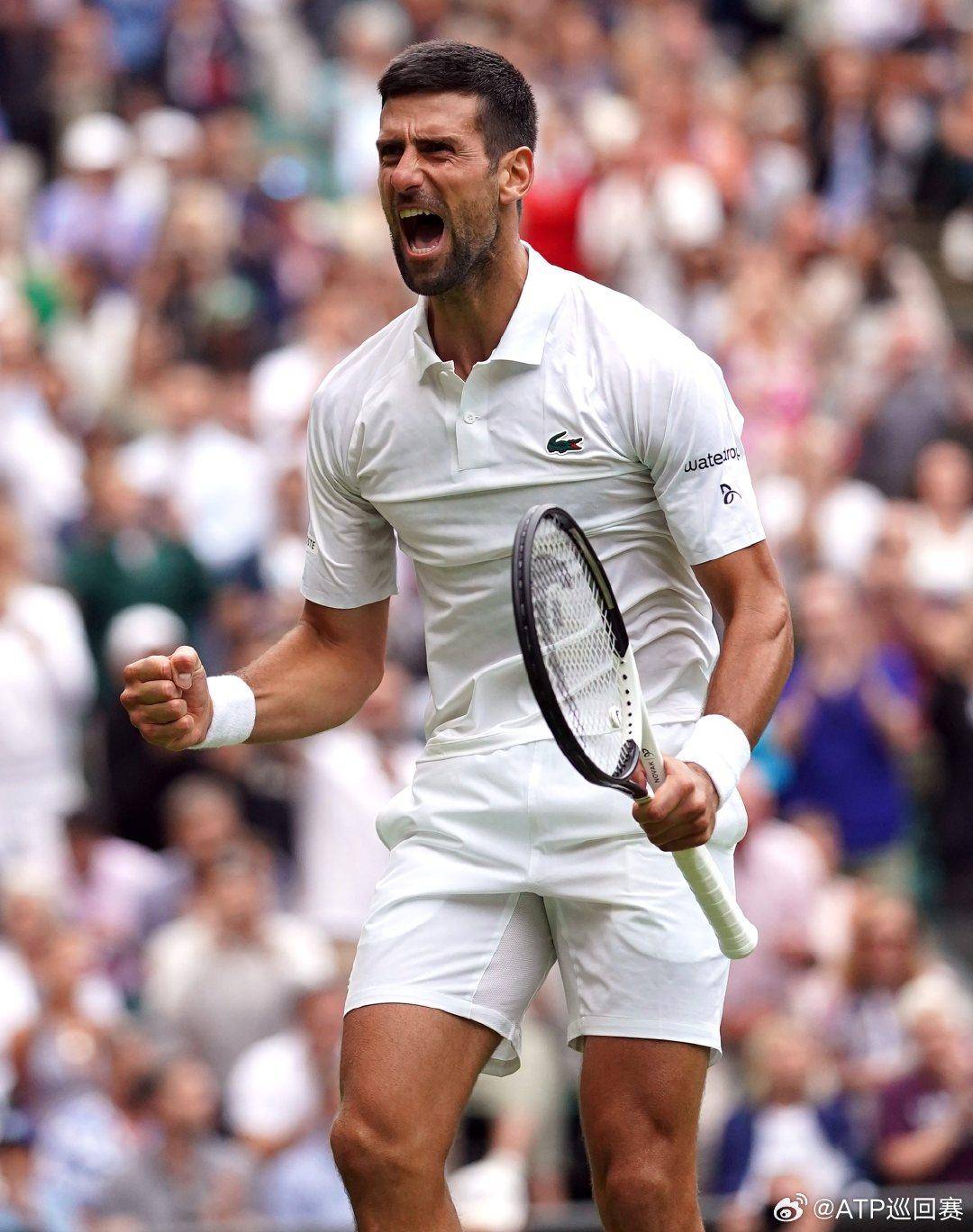 将带来精彩 将带来精彩