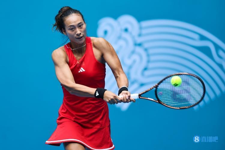 尼克斯拥有 尼克斯拥有